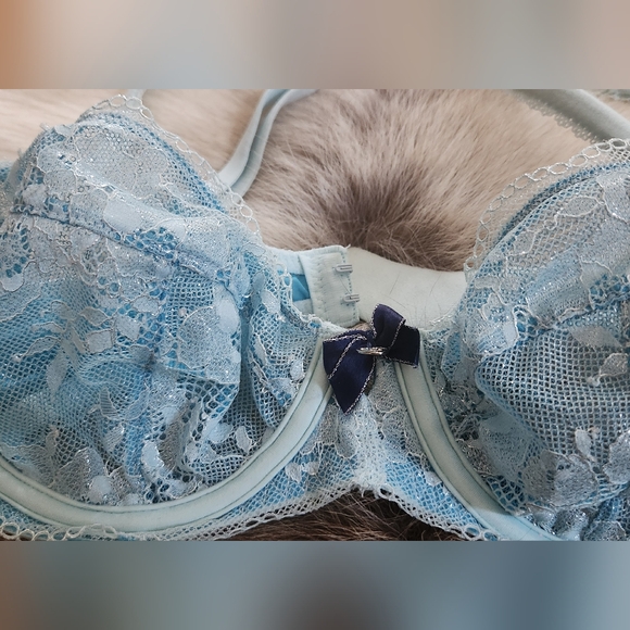 Victoria's Secret lace bra in baby blue metallic in size 34B - Picture 3 of 8